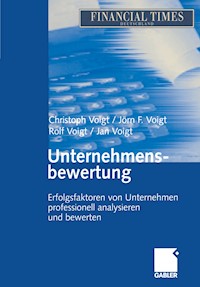 Unternehmensbewertung - Christoph Voigt - E-Book