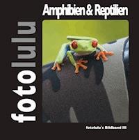 Amphibien & Reptilien - fotolulu - E-Book