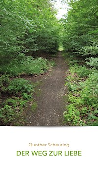 Der Weg zur Liebe - Gunther Scheuring - E-Book