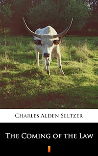 The Coming of the Law - Charles Alden Seltzer - E-Book