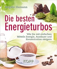Die besten Energieturbos - Brigitte Hamann - E-Book