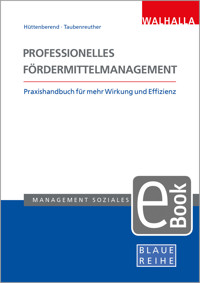 Professionelles Fördermittelmanagement - Sarah Hüttenberend - E-Book