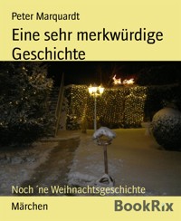 Eine sehr merkwürdige Geschichte - Peter Marquardt - E-Book