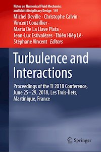 Turbulence and Interactions -  - E-Book