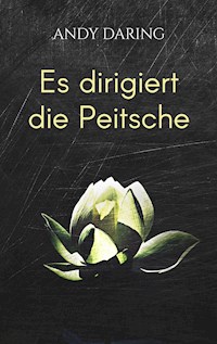 Es dirigiert die Peitsche - Andy Daring - E-Book