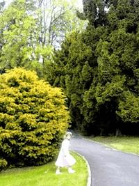 Liebesrisse - Ricarda Kühn - E-Book