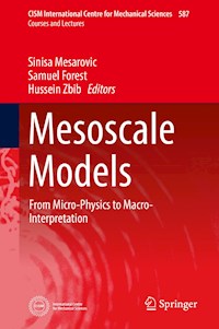 Mesoscale Models -  - E-Book