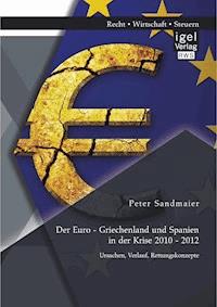 Der Euro - Griechenland und Spanien in der Krise 2010 - 2012: Ursachen, Verlauf, Rettungskonzepte - Peter Sandmaier - E-Book