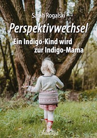 Perspektivwechsel - Sarah Rogalski - E-Book
