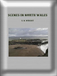 Scenes in North Wales - G. N. Wright - E-Book