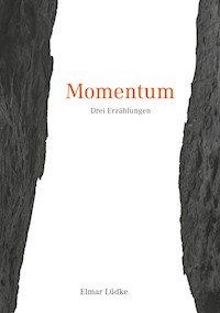 Momentum - Elmar Lüdke - E-Book