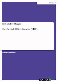 Das Schädel-Hirn-Trauma (SHT) - Miriam Bretthauer - kostenlos E-Book