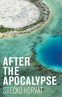 After the Apocalypse - Srecko Horvat - E-Book