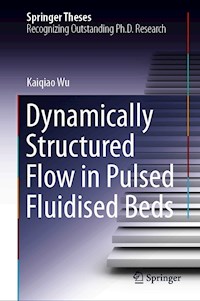 Dynamically Structured Flow in Pulsed Fluidised Beds - Kaiqiao Wu - E-Book