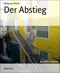 Der Abstieg - Wolfgang Willems - E-Book