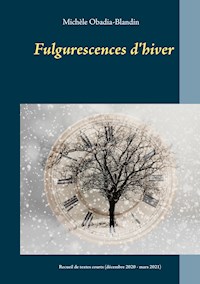 Fulgurescences d'hiver - Michèle Obadia-Blandin - E-Book