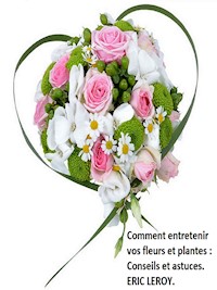 Comment entretenir vos fleurs et plantes : - Eric Leroy - E-Book