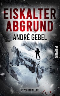 Eiskalter Abgrund - André Gebel - E-Book
