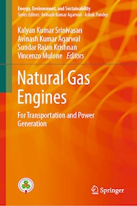 Natural Gas Engines -  - E-Book