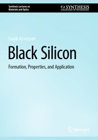 Black Silicon - Gagik Ayvazyan - E-Book