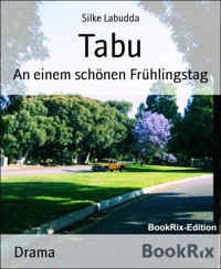 Tabu - Silke Labudda - E-Book