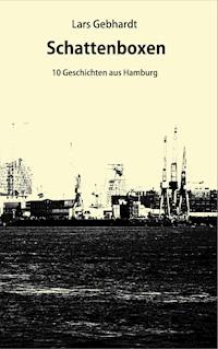 Schattenboxen - Lars Gebhardt - E-Book
