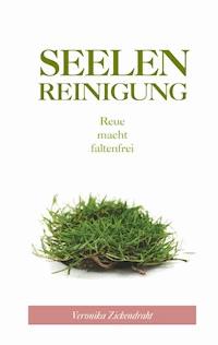 Seelenreinigung - Veronika Zickendraht - E-Book