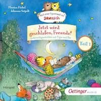 Jetzt wird geschlafen, Freunde! Gutenachtgeschichten mit Tiger und Bär. Teil 1 - Florian Fickel - Hörbuch
