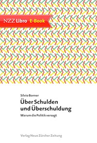 Über Schulden und Überschuldung - Silvio Borner - E-Book