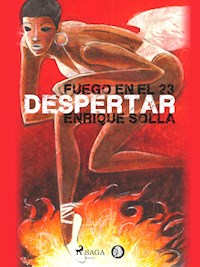 Fuego en el 23: Despertar - Enrique Solla - E-Book