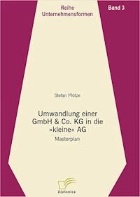 Umwandlung einer GmbH & Co. KG in die kleine AG - Stefan Plötze - E-Book