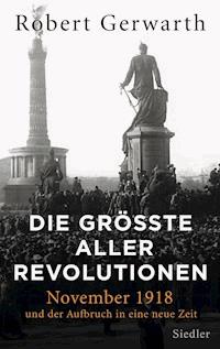 Die größte aller Revolutionen - Robert Gerwarth - E-Book