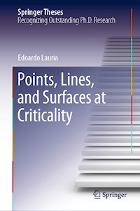 Points, Lines, and Surfaces at Criticality - Edoardo Lauria - E-Book