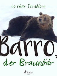Barro, der Braunbär - Lothar Streblow - E-Book