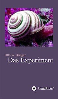 Das Experiment - Otto W. Bringer - E-Book