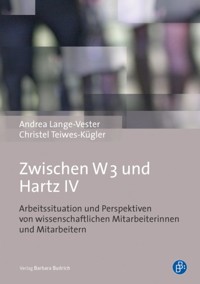 Zwischen W3 und Hartz IV - Andrea Lange-Vester - E-Book
