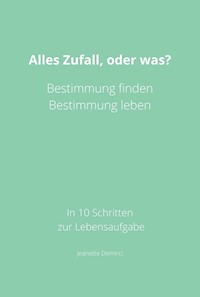Alles Zufall, oder was? - Jeanette Demirci - E-Book