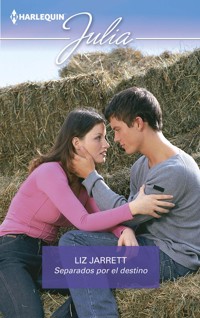 Separados por el destino - Liz Jarrett - E-Book