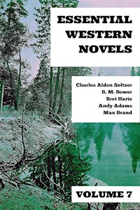 Essential Western Novels - Volume 7 - Charles Alden Seltzer - E-Book
