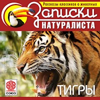 Тигры - Р. Тевенен - Hörbuch