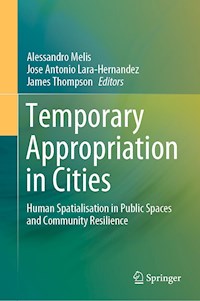 Temporary Appropriation in Cities -  - E-Book