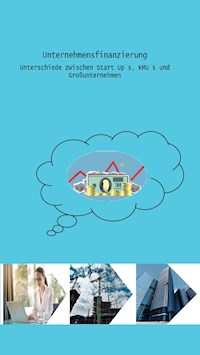 Unternehmensfinanzierung - Alexander Bertel - E-Book