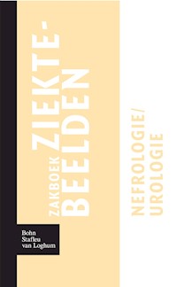 Zakboek ziektebeelden - Karin Linden - E-Book