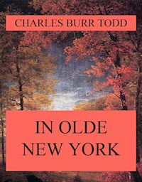In Olde New York - Charles Burr Todd - E-Book