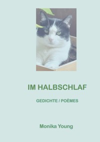 Im Halbschlaf - Monika Young - E-Book