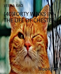 (40)FORTY WINKS IN THE LIFE OF CHESTER - VEENA RAO - E-Book