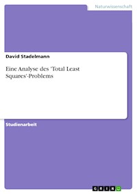 Eine Analyse des 'Total Least Squares'-Problems - David Stadelmann - E-Book