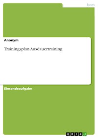 Trainingsplan Ausdauertraining -  - E-Book