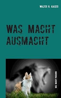 Was Macht ausmacht - Walter R. Kaiser - E-Book