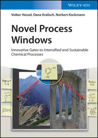 Novel Process Windows - Volker Hessel - E-Book